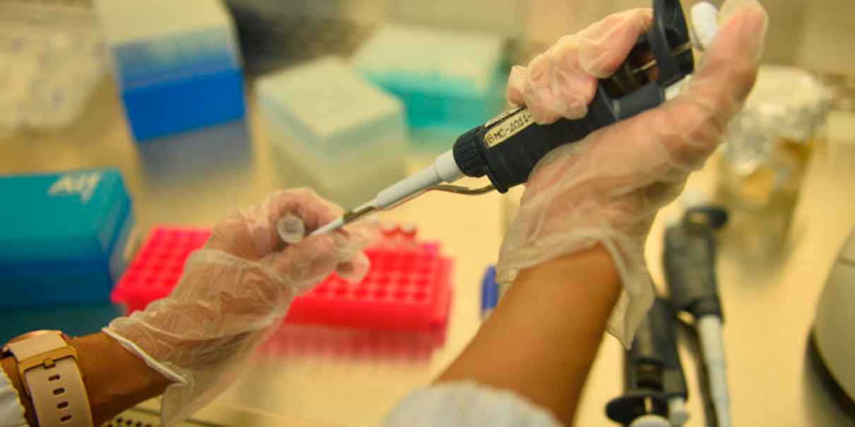 Estudio contra el cáncer