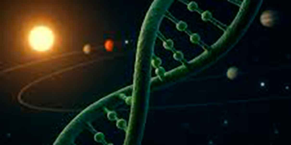 ADN