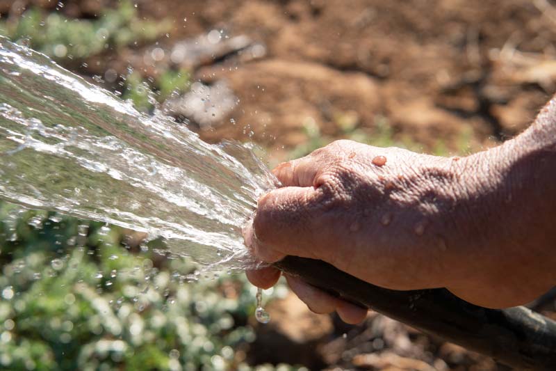Ahorro de agua en el agro genera alerta por posibles sanciones