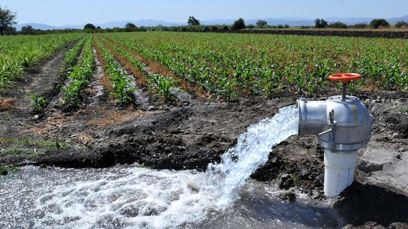 Ahorro de agua en el agro genera alerta por posibles sanciones