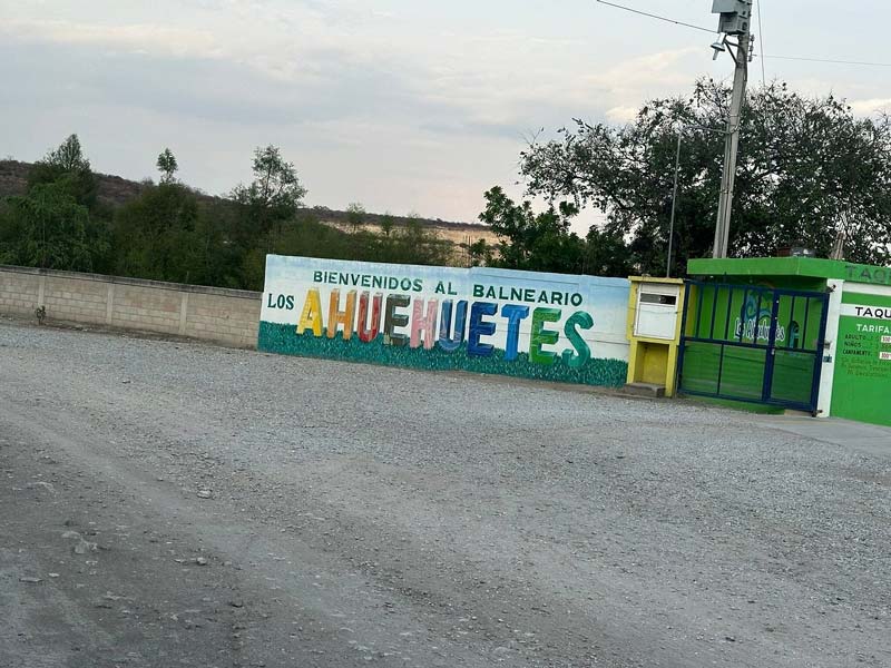 Ahuehuetes de Tepeojuma: Un oasis natural en Puebla para amantes de la naturaleza