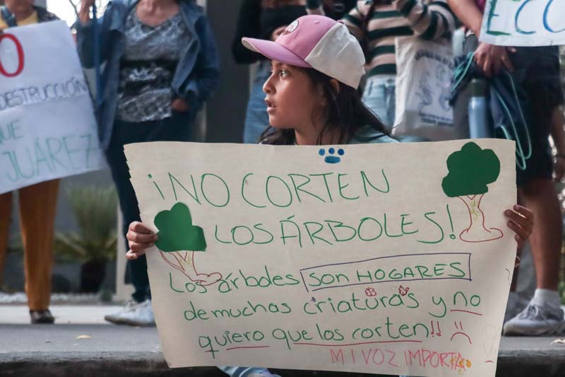 Amparo colectivo en Puebla contra el Cablebús busca proteger áreas verdes y transparencia ambiental