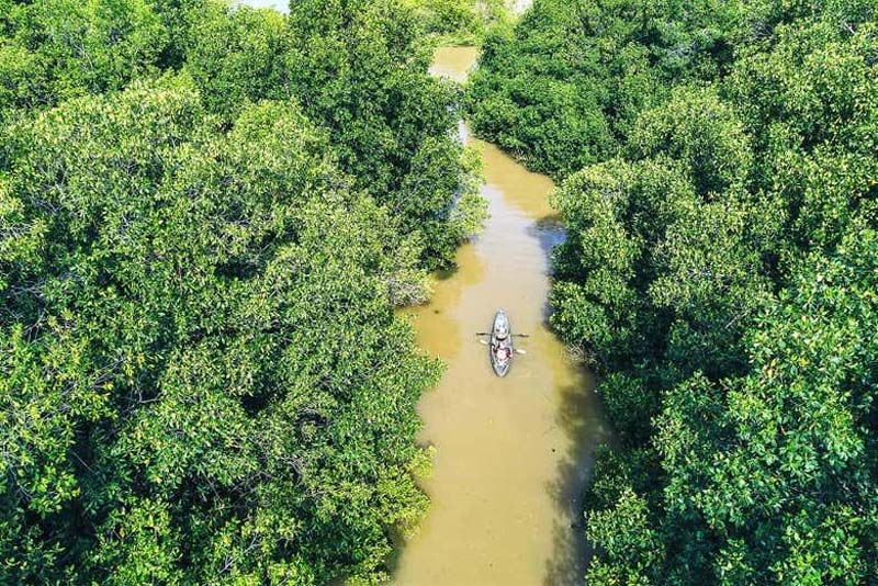 ¿Agua que brilla? Así es la increíble Laguna de Manialtepec en Oaxaca
