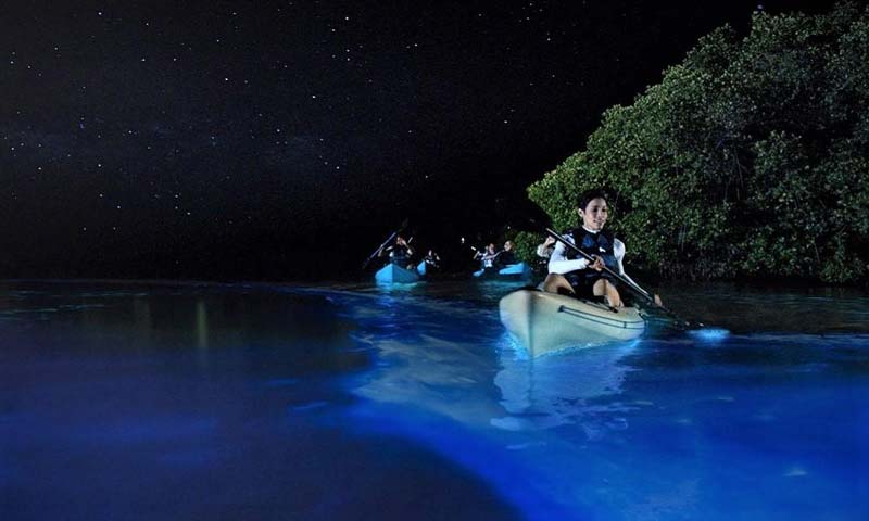 ¿Agua que brilla? Así es la increíble Laguna de Manialtepec en Oaxaca