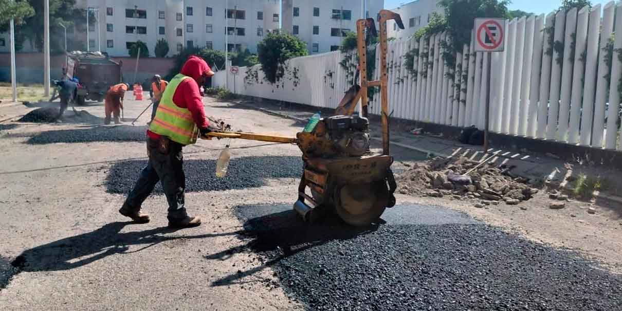 Bacheo