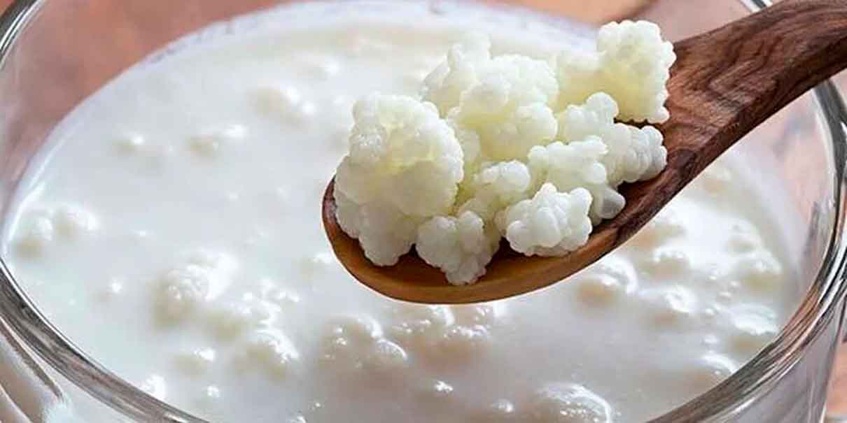 Búlgaros