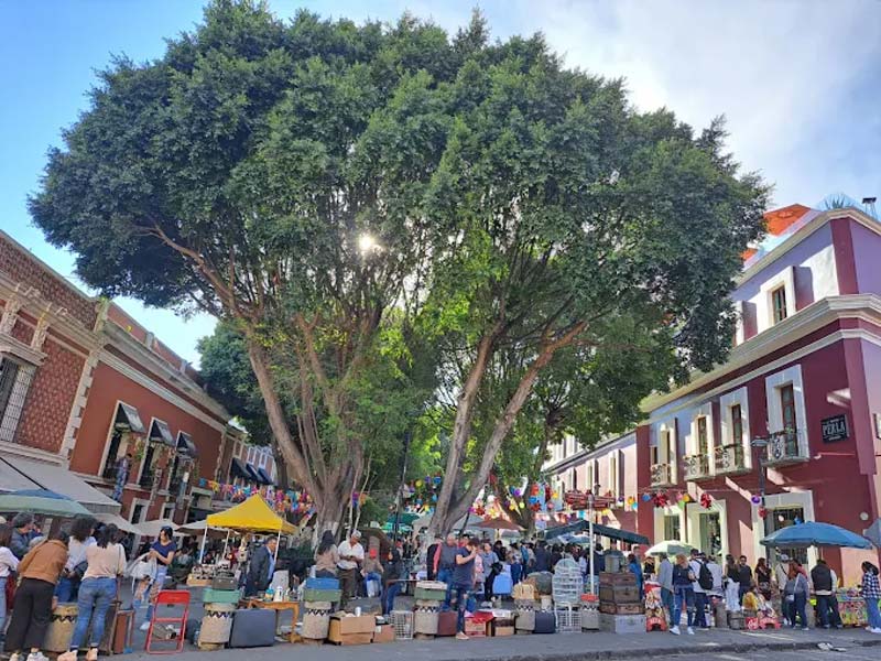 Callejón de los Sapos: el colorido rincón del Centro Histórico de Puebla que debes visitar