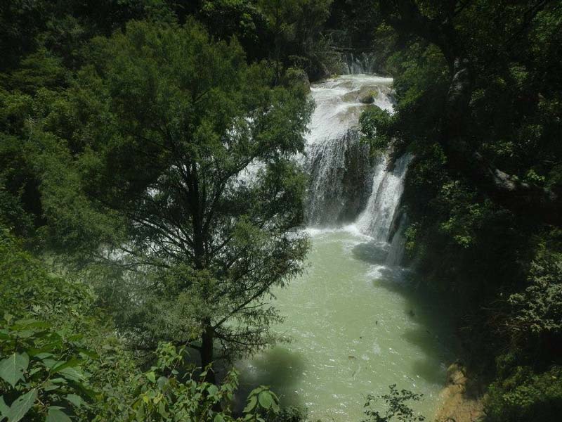 Cascada El Aguacero Chiapas: el paraíso escondido entre selva, ríos subterráneos y grandes cañones naturales