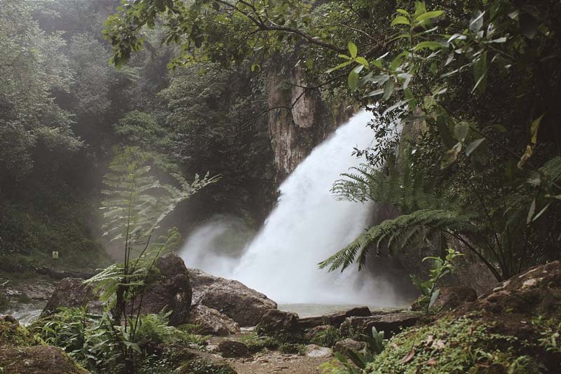 Cascada Las Brisas, Puebla: descubre este rincón escondido lleno de belleza