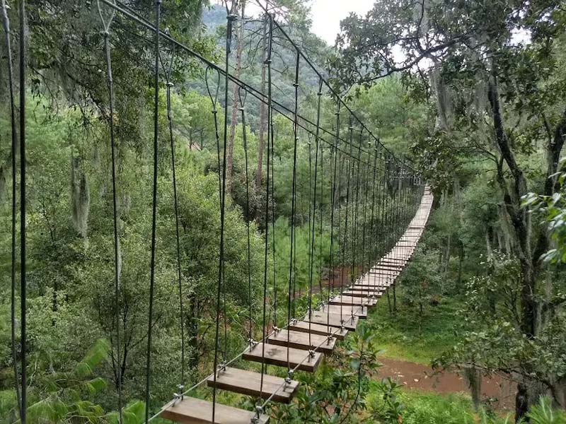 Cascadas de Tulimán, Puebla: aventura, historia y naturaleza en el corazón de Zacatlán