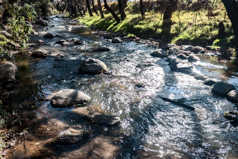 Casi dos mil descargas ilegales causó la muerte del Río Atoyac; autoridades emitieron reporte