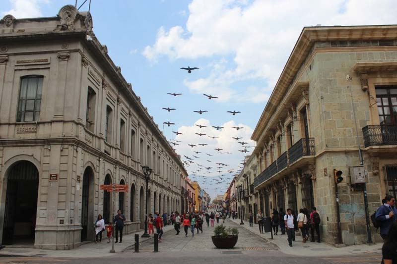 Centro Histórico de Oaxaca: lugares imperdibles, historia y cómo llegar
