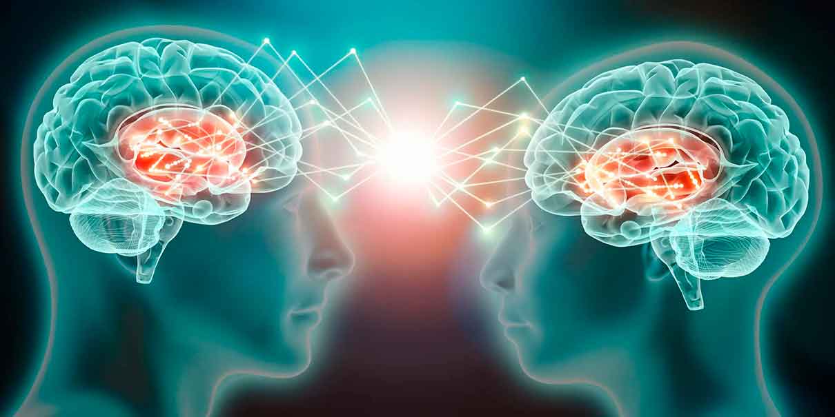 Cómo funciona el cerebro cuando te enamoras