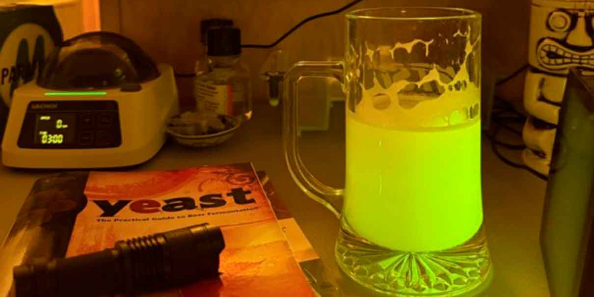 cerveza