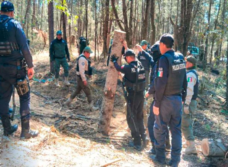 Confiscan madera en zona montañosa entre Puebla y Tlaxcala