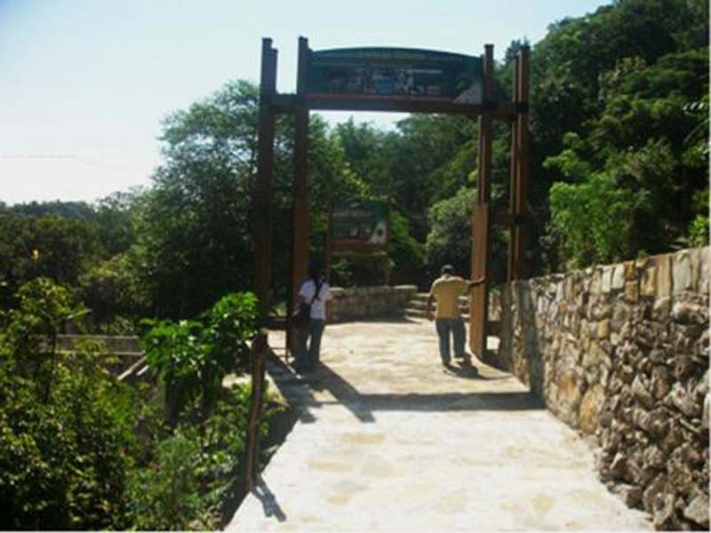 Descubre El Chorreadero, el parque ecoturístico de Chiapas donde la aventura y la naturaleza se unen