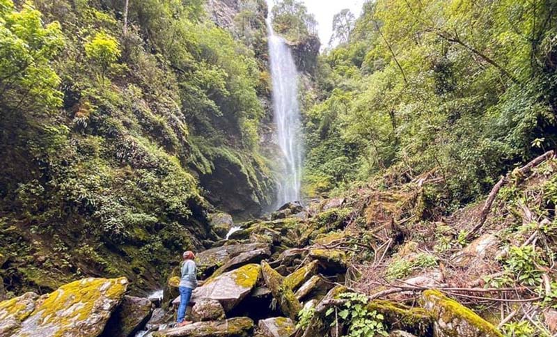 Descubre San Juan Atepec, el paraíso de niebla y bosque en Oaxaca