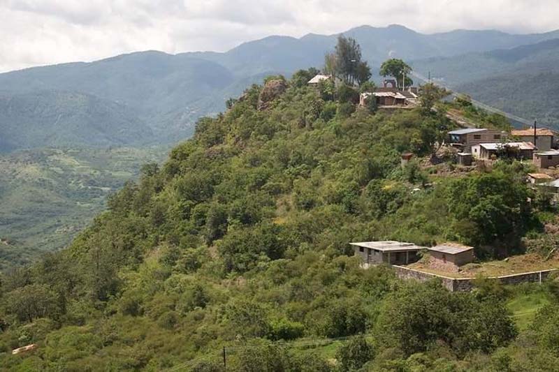Descubre San Juan Atepec, el paraíso de niebla y bosque en Oaxaca