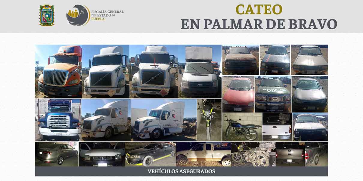 Decomiso en cateo