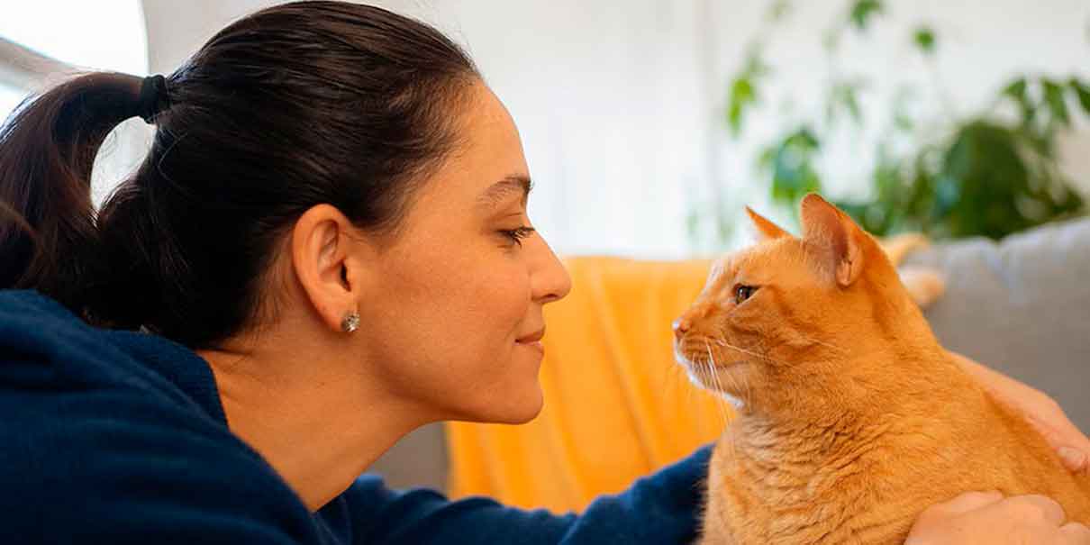 Día del gato