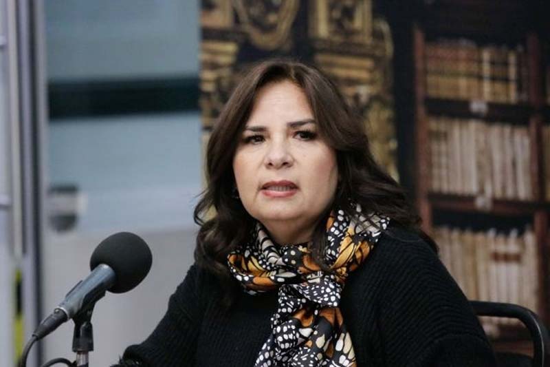 Diputada descartó ecocidio con Cablebús, “todo está planeado”, señaló