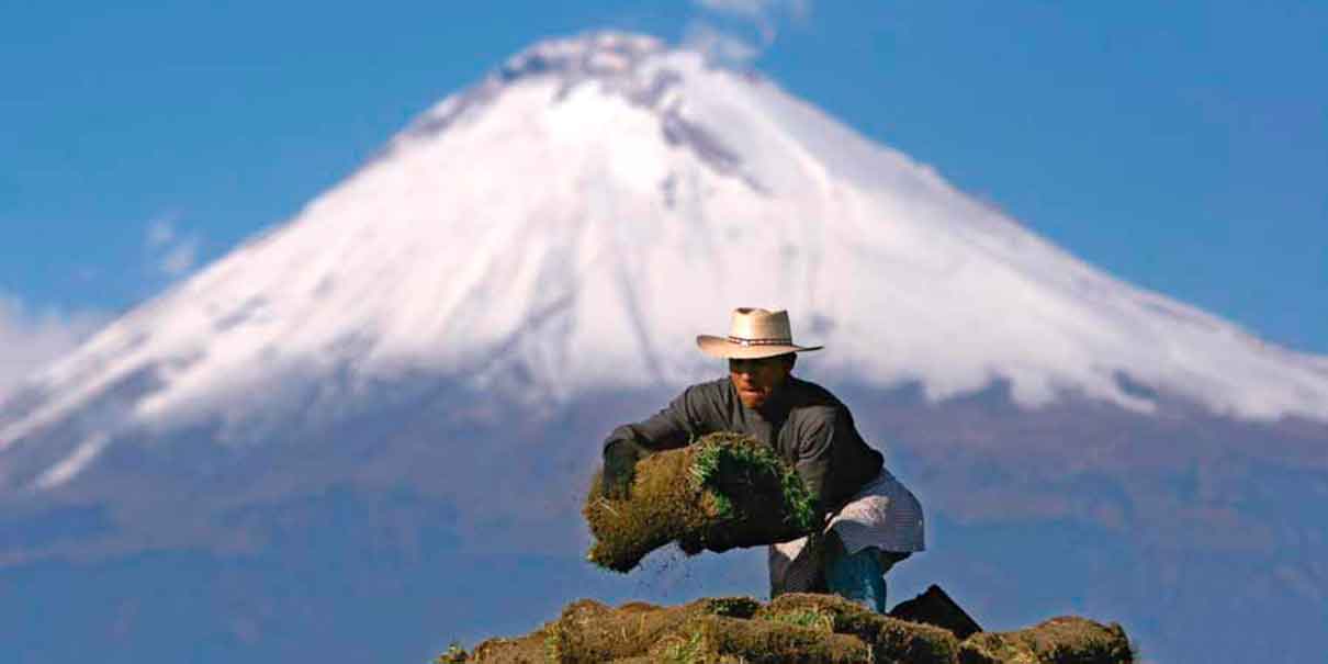 Don Goyo