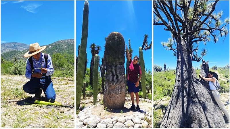 El desierto de Puebla que alguna vez fue océano: descubre San Juan Raya
