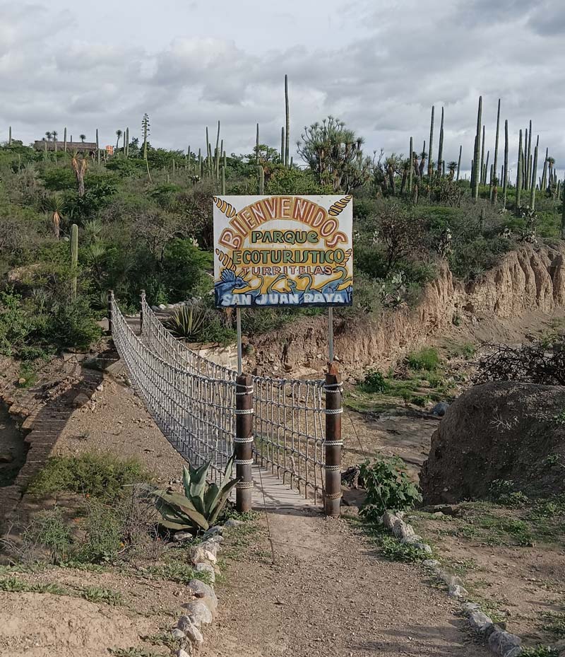 El desierto de Puebla que alguna vez fue océano: descubre San Juan Raya