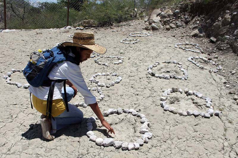 El desierto de Puebla que alguna vez fue océano: descubre San Juan Raya