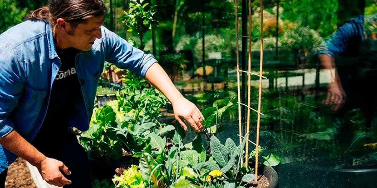 Plantar flores y plantas