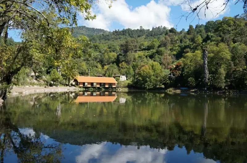 Entre neblina y historia: así es Guelatao de Juárez, Oaxaca cuna de Benito Juárez