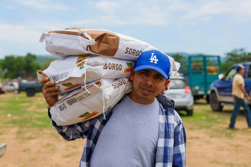 Entrega de semilla de sorgo impulsa la productividad agrícola en la Mixteca poblana