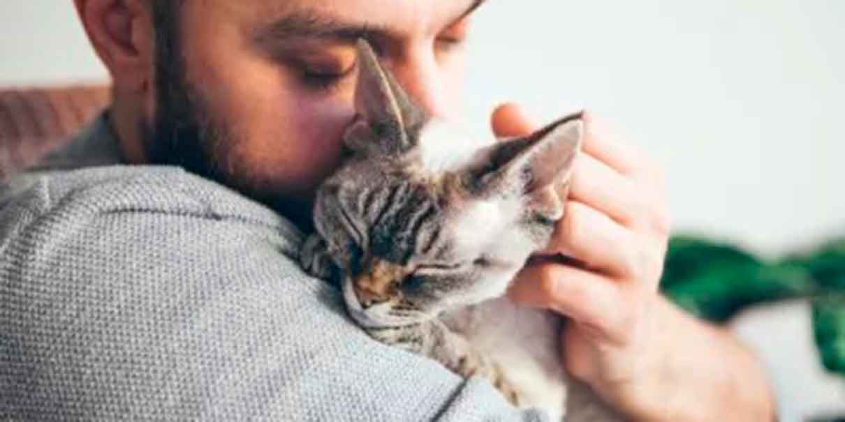 interacción con gatos