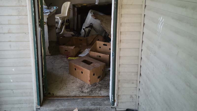 Hallan a 16 niños en una casa de Ohio; vivían entre excrementos y basura