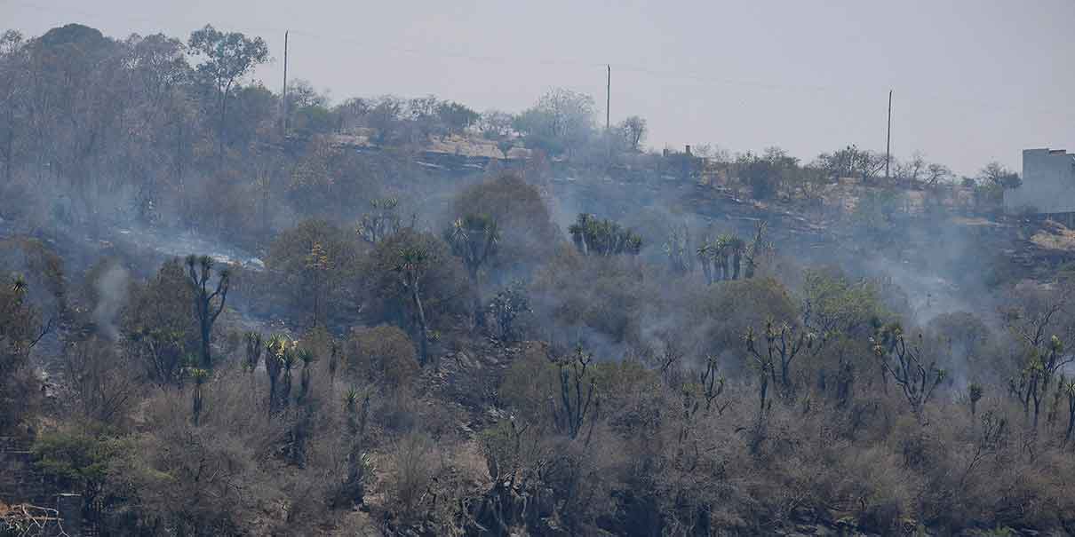 Incendios forestales