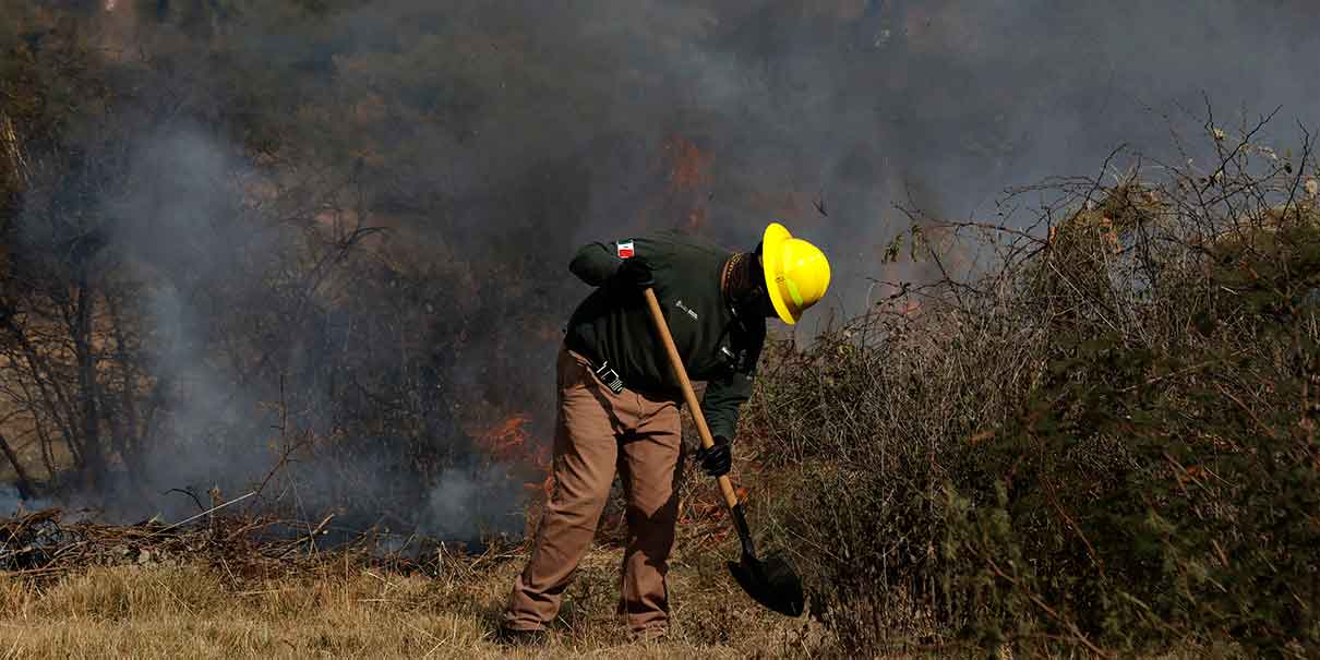Incendios forestales