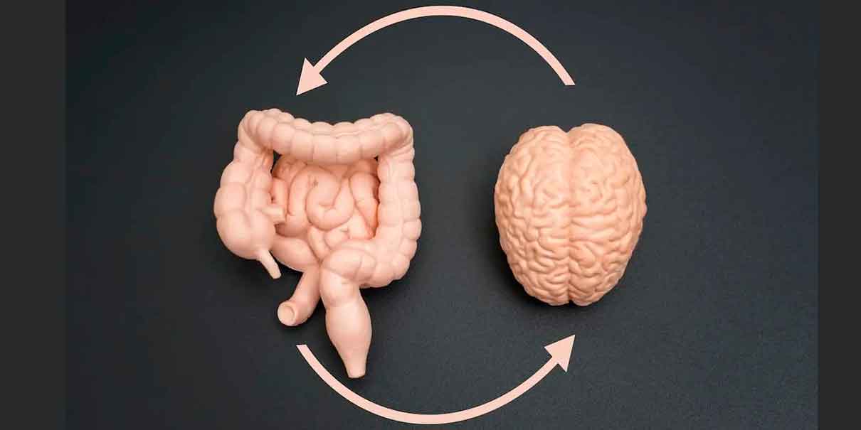 Salud intestinal