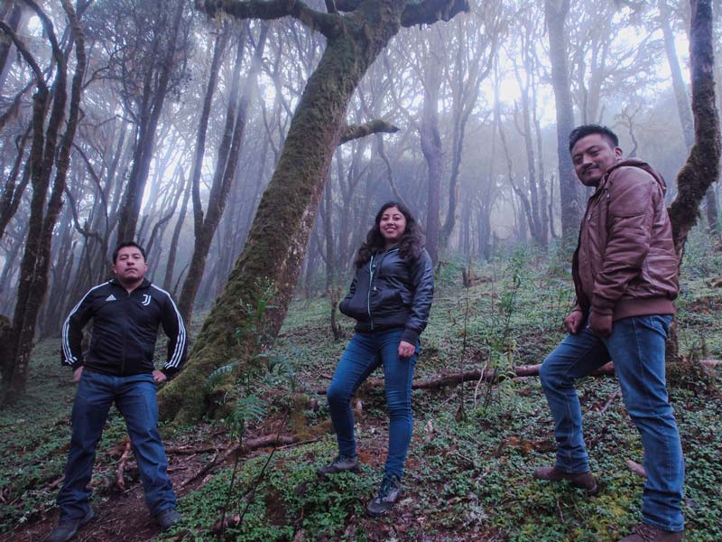 Ixtlán de Juárez, Oaxaca: el paraíso del ecoturismo donde historia y naturaleza se encuentran