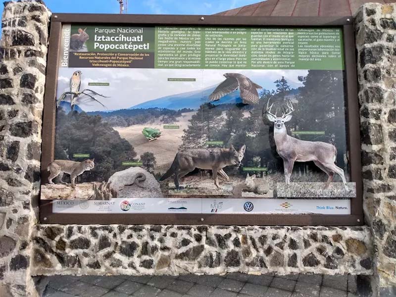 El gigante natural de México: descubre el Parque Nacional Izta-Popo