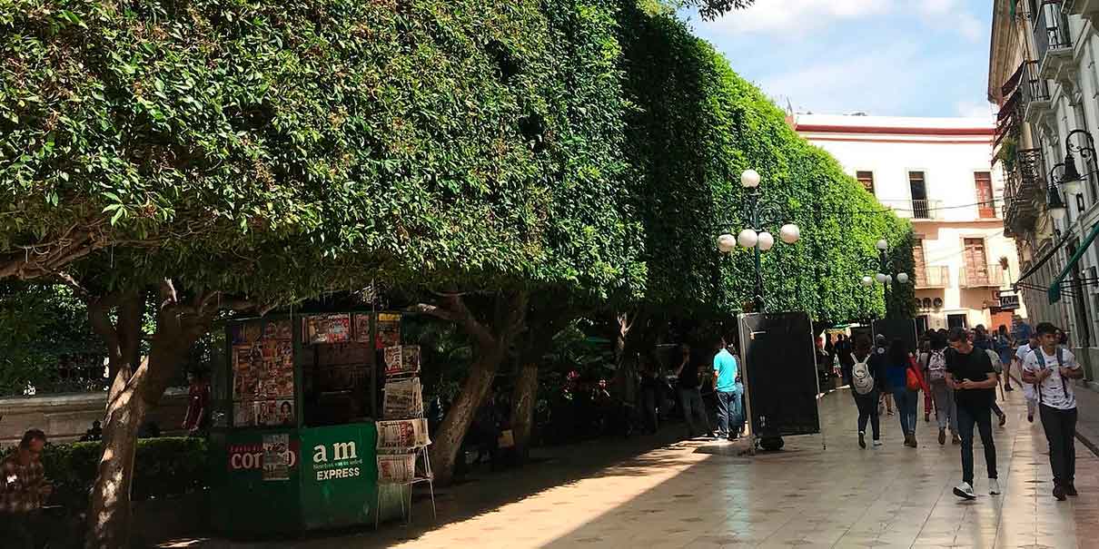 Jardín de la Unión