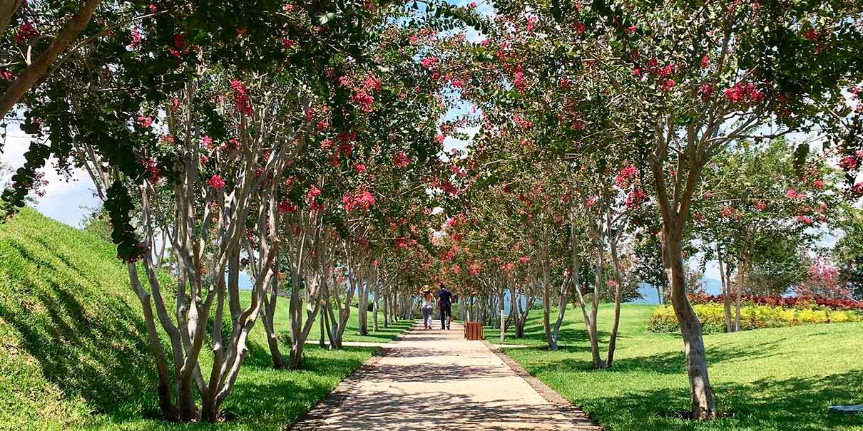 Jardín de las Cuatro Primaveras