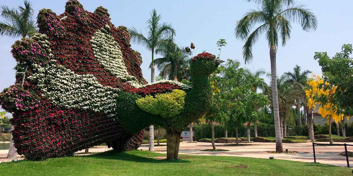 Jardín Tropical