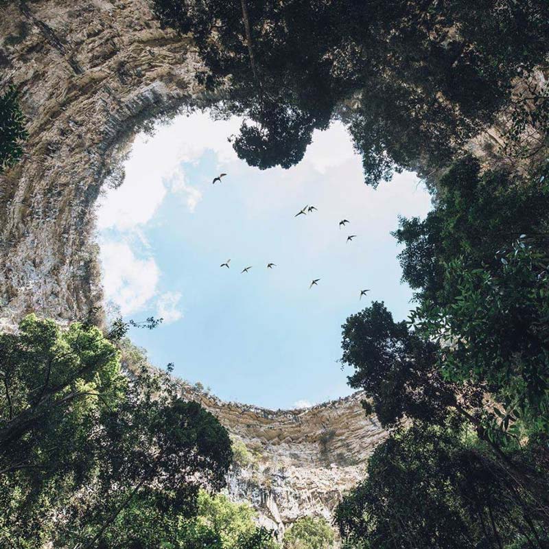 La Cueva de las Cotorras, Chiapas esconde historia, aventura y uno de los paisajes más impresionantes de México