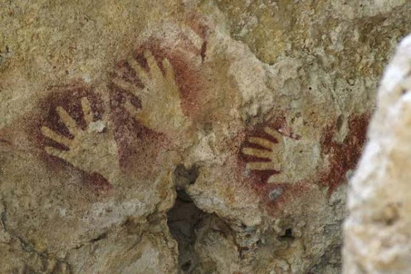 La Cueva de las Cotorras, Chiapas esconde historia, aventura y uno de los paisajes más impresionantes de México