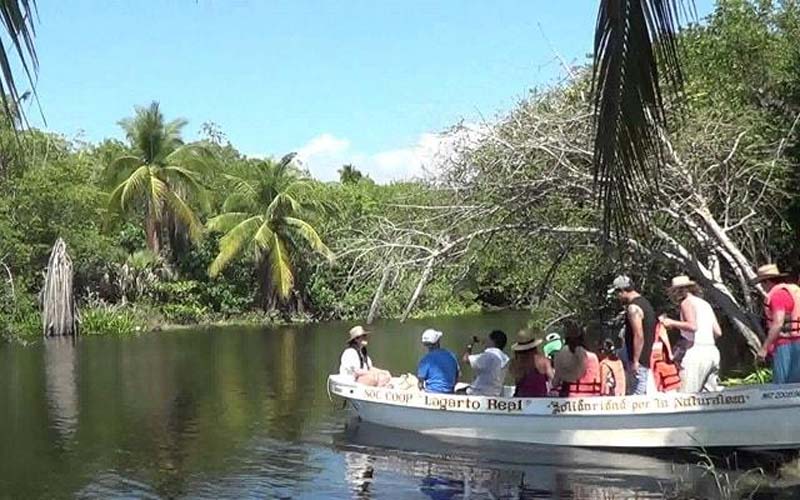 La Ventanilla Oaxaca: manglares, cocodrilos y ecoturismo en un destino único