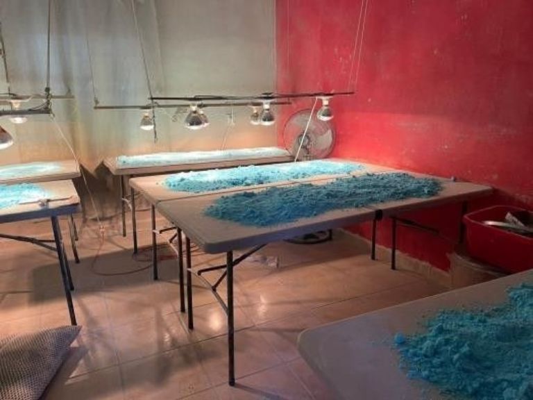 laboratorio