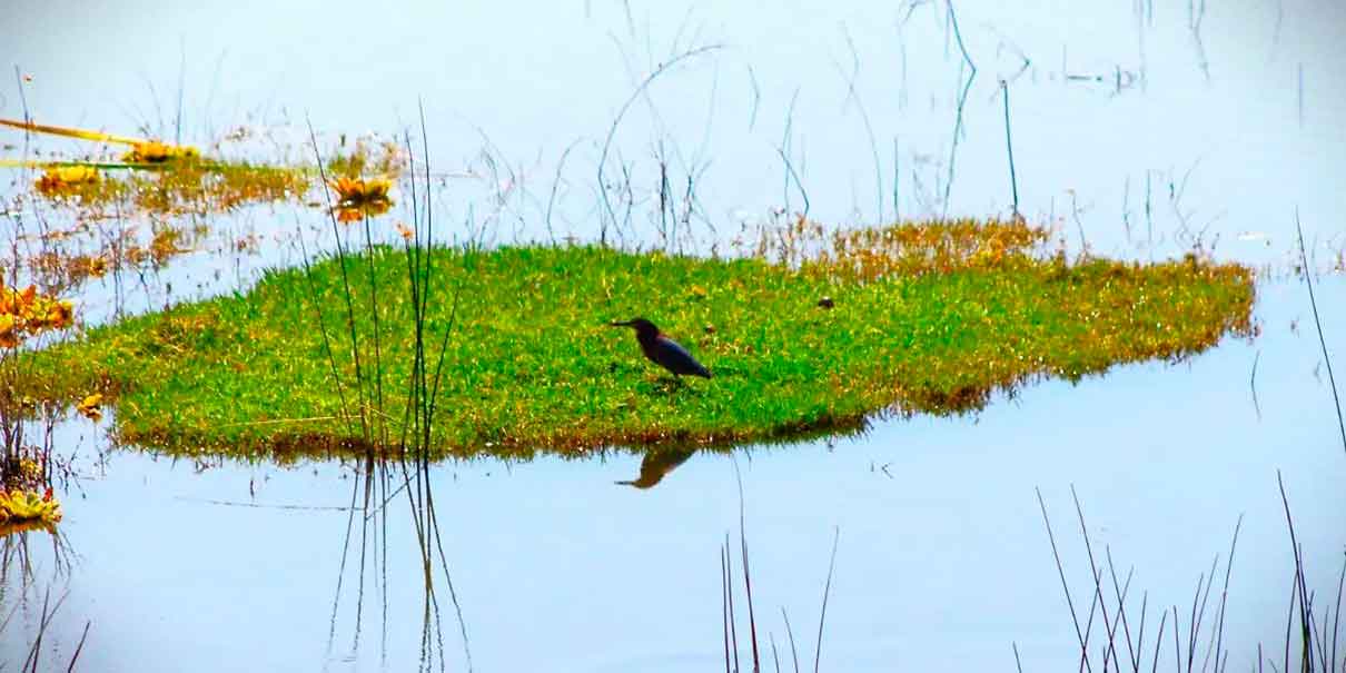 Laguna de Coatetelco