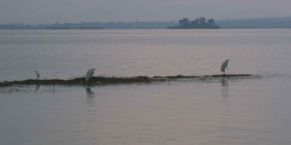 Laguna de Zumpango.