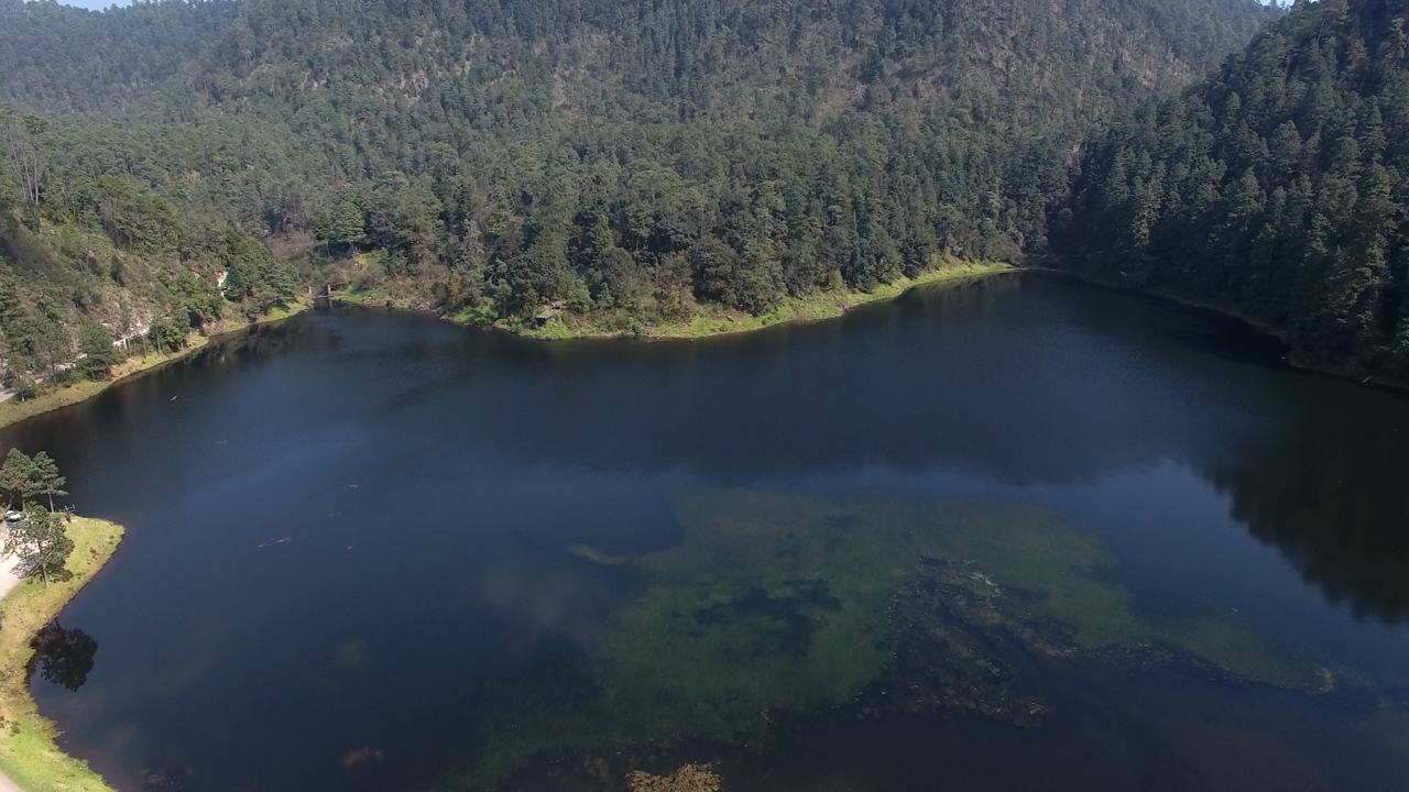 Laguna de Zempoala