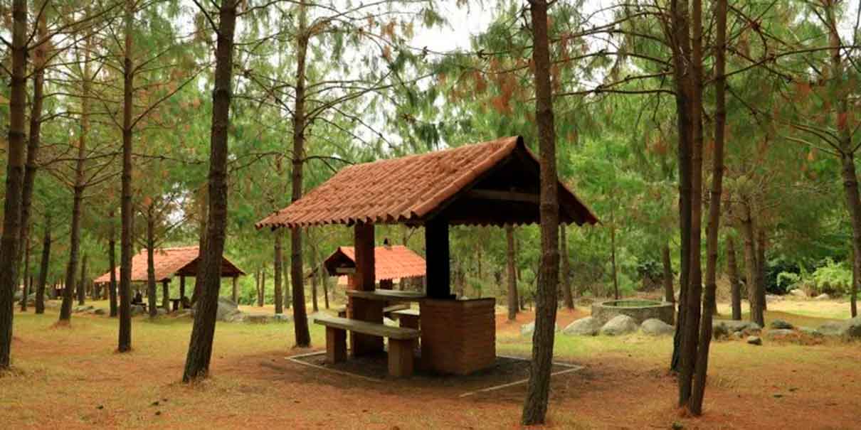 Santuario de las Luciérnagas de Amecameca